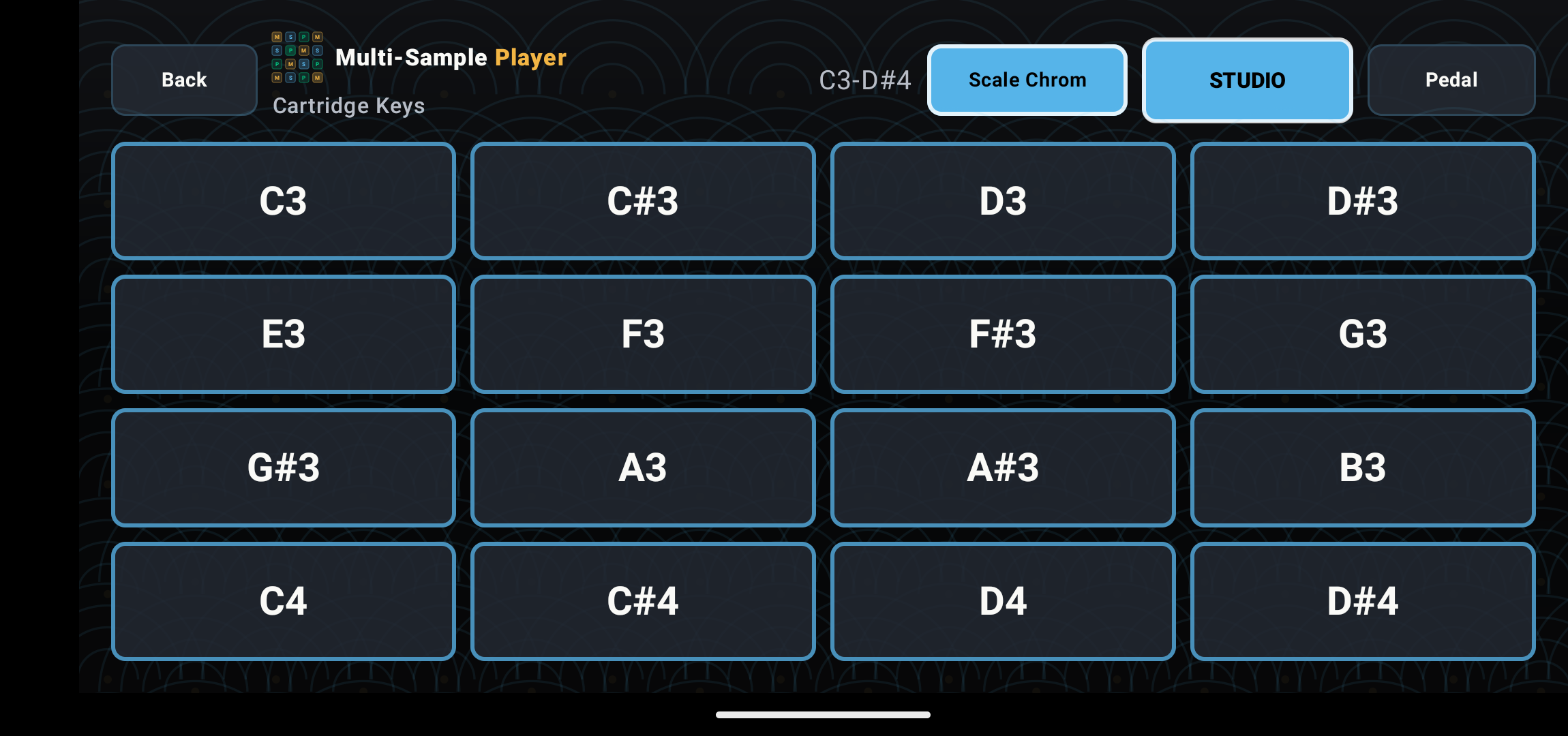 Play Grid showing 16 large touch pads in chromatic scale.